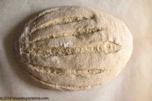 sprouted-kamut-flour-bread-1-16