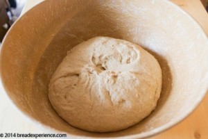 sprouted-kamut-flour-bread-1-18