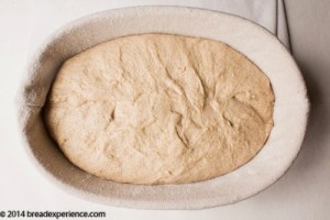 sprouted-kamut-flour-bread-1-20
