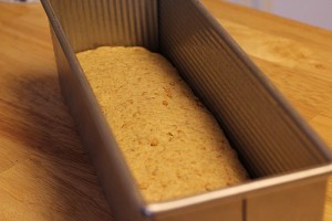 sprouted-spelt-bread_2424