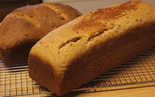 Sprouted Spelt Bread - 8 inch and Pullman size