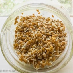 homemade sprouted grain crackers