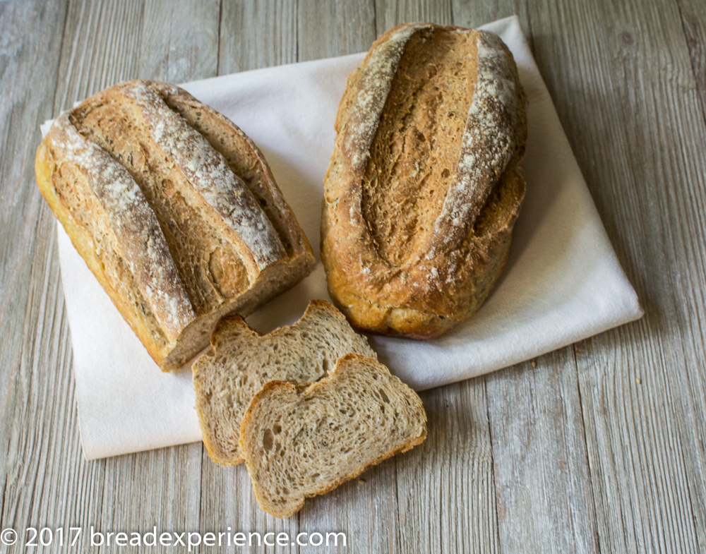 Velvety White Bean Bread with Rosemary and Sprouted Wheat