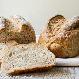 White Bean Rosemary Bread