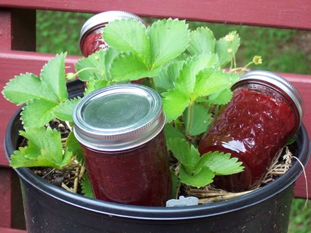 Strawberry Jam in Jars