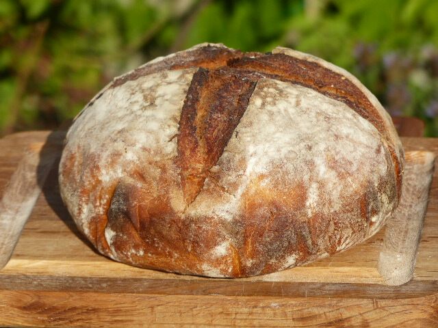 sunflower seed and honey sourdough03 My Bread and Brot