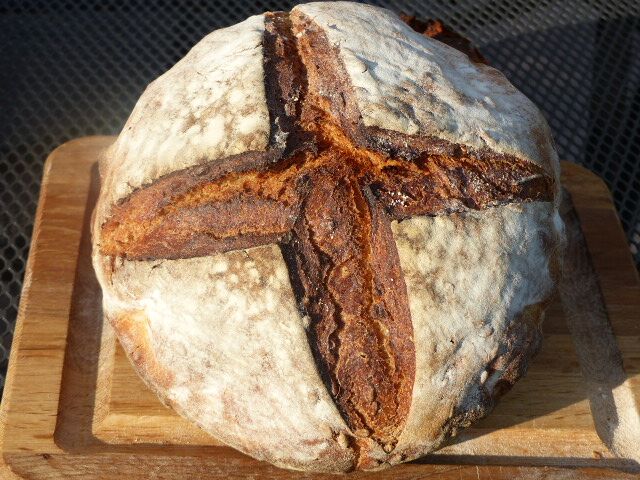 sunflower seed and honey sourdough05 My Bread and Brot