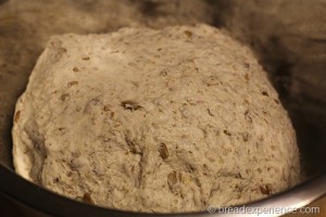 sunflower-seed-bread_1361