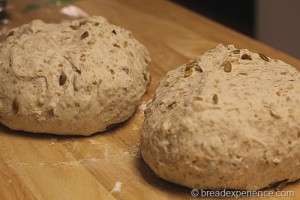 sunflower-seed-bread_1367