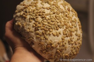 sunflower-seed-bread_1369