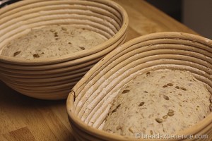 sunflower-seed-bread_1372