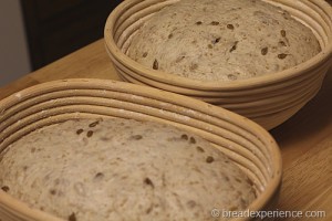 sunflower-seed-bread_1378