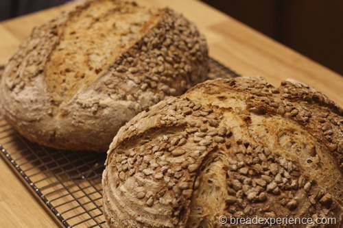 sunflower-seed-bread_1409_thumb