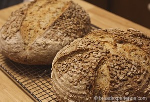 sunflower-seed-bread_1411