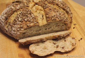 sunflower-seed-bread_1482