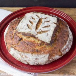 Sweet Potato Elbow Lick Bread