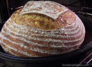 tartine-country-bread 067