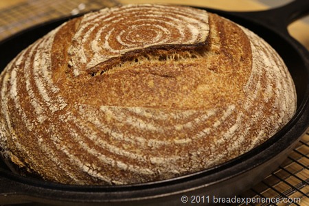 Whole Wheat Tartine Bread