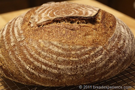 Whole Wheat Tartine Loaf