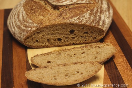 Whole Wheat Tartine Bread Crumb Shot