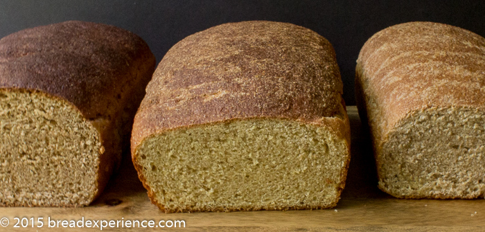 three-loaves-three-flours-1-2