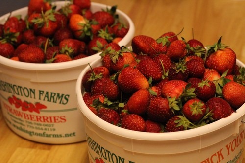 fresh-picked strawberries