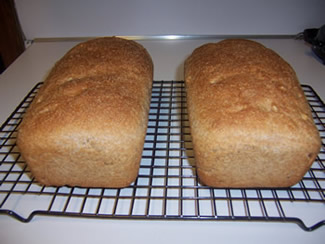 Walnut Wheat Bread