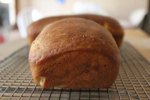 water-proofed-bread_183