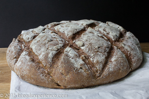 wheat-rye-miche-poolish-1-2