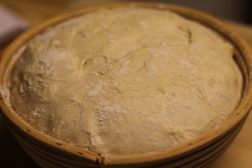 Proofed dough in the banneton, ready to be turned out for baking.
