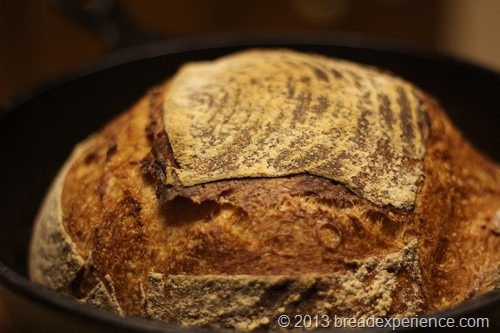 White Bread with Poolish in Cast Iron Combo Cooker