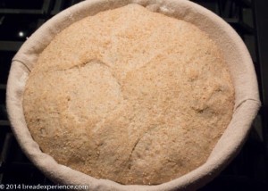 whole-grain-saturday-bread-5-3