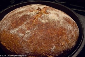 whole-grain-saturday-bread-5-4