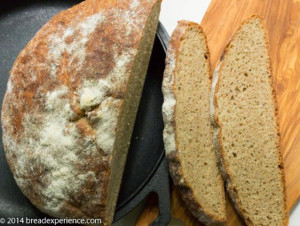 Whole Grain Saturday Bread