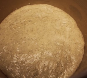 whole-grain-spelt-bread2_11