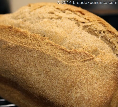 Crusty Spelt Bread