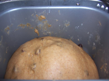 Cinnamon Raisin Dough in Bread Maker