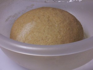 whole-wheat-harvest-bread 006