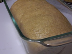 whole-wheat-harvest-bread 013