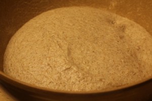 whole-wheat-toast_006