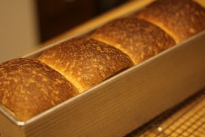 whole-wheat-toast_031