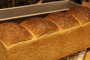 whole-wheat-toast_046