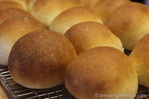 Bread Machine Yeast Rolls
